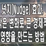 넛지 효과, 작은 변화로 큰 경제적 영향을 만드는 방법